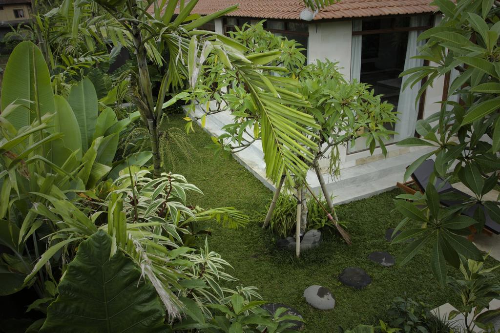 Dugul Ubud Номер фото